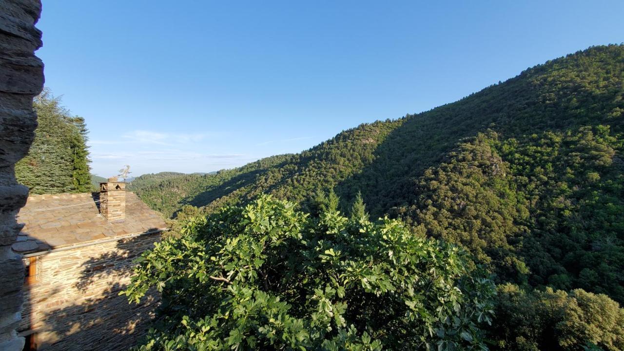 Gite De Combelebouze En Cevennes - Cosy, Confort Et Climatise - 3 Etoiles Saint-Privat-de-Vallongue Exterior photo