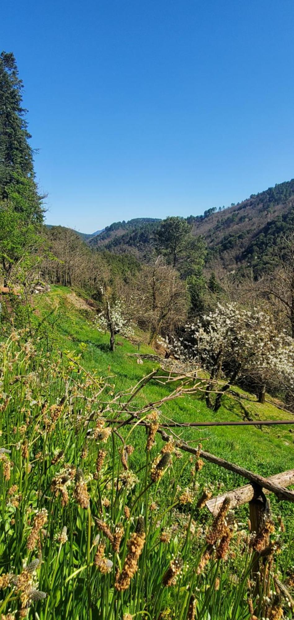 Gite De Combelebouze En Cevennes - Cosy, Confort Et Climatise - 3 Etoiles Saint-Privat-de-Vallongue Exterior photo