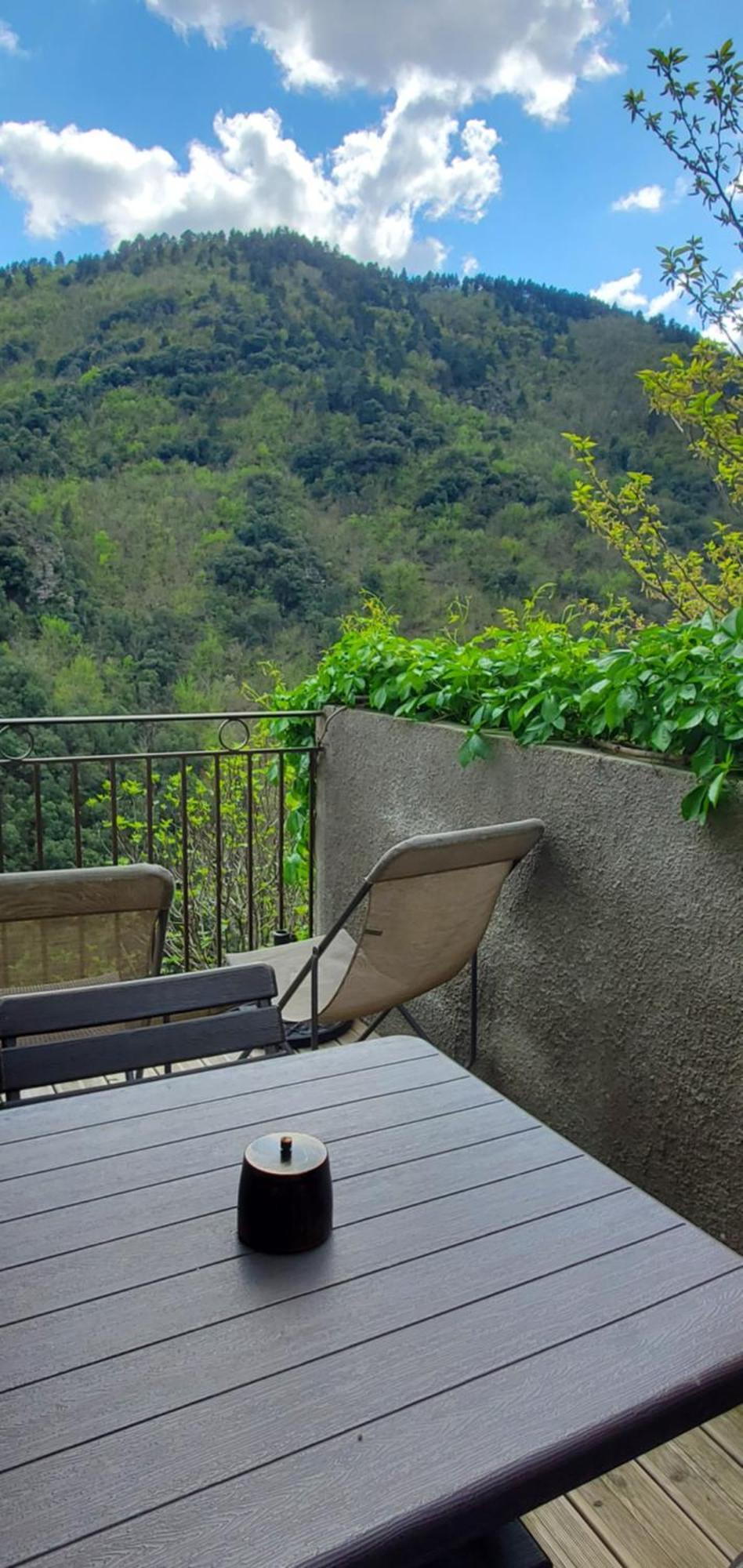 Gite De Combelebouze En Cevennes - Cosy, Confort Et Climatise - 3 Etoiles Saint-Privat-de-Vallongue Exterior photo